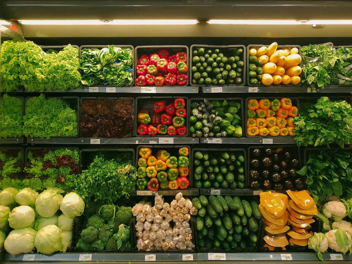Cost-Effective Model — 25–30% savings through bulk purchasing and operational efficiencies.
